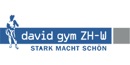 David Gym Zürich Logo